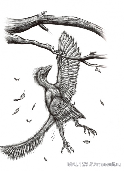 юра, археоптериксы, реконструкция, Archaeopteryx, Jurassic