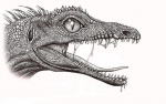 Mesenosaurus romeri (ручка)