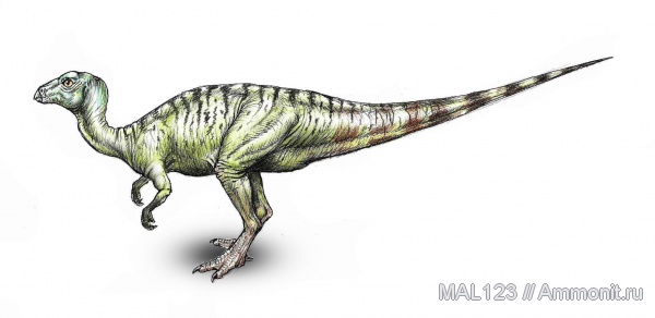 динозавры, Китай, Yueosaurus tiantaiensis, орнитоподы, Yueosaurus