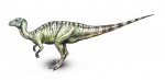 Yueosaurus tiantaiensis