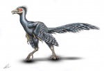 Реконструкция Archaeopteryx lithographica
