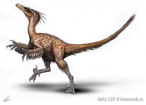 динозавры, мел, тероподы, реконструкция, троодон, Troodon, Troodon formosus, Cretaceous