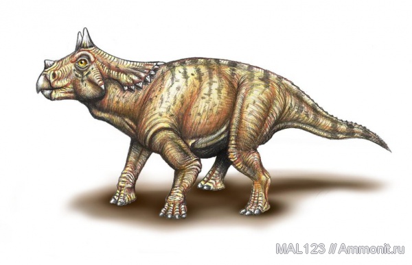 динозавры, мел, трицератопсы, реконструкция, Triceratops, детеныши, Cretaceous