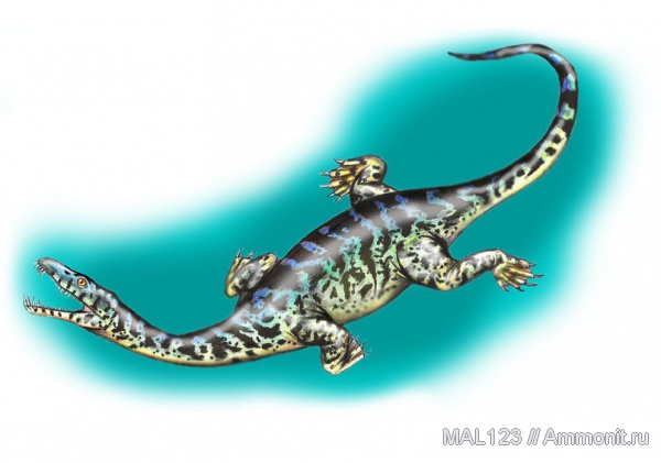 триас, Nothosaurus, Triassic