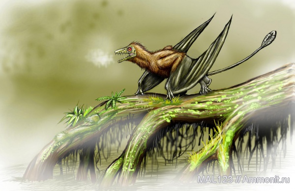 птерозавры, Казахстан, рамфоринхи, Каратау хребет, Sordes pilosus