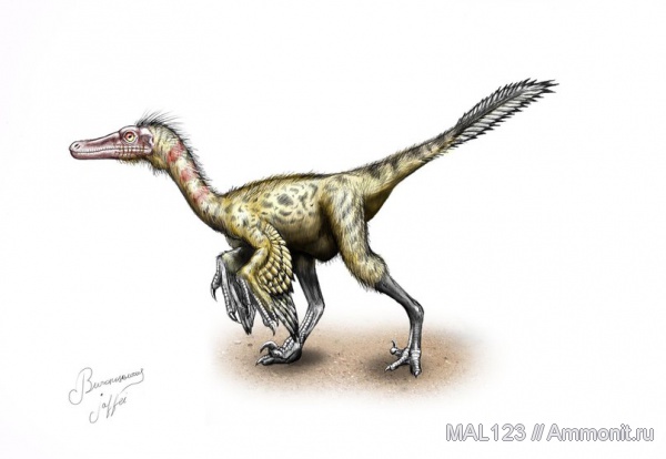 Монголия, Byronosaurus jaffei, Byronosaurus