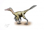 Byronosaurus jaffei