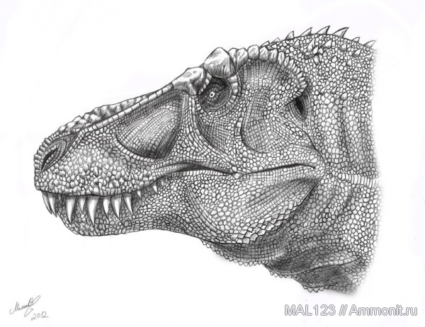 динозавры, мел, тираннозавры, Tyrannosaurus, Северная Америка, Cretaceous