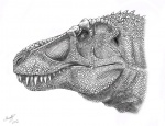 Голова  тираннозавра