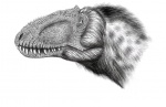 Yutyrannus huali 2