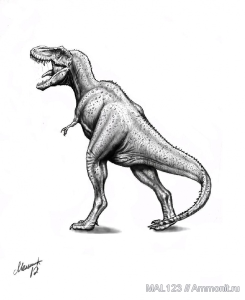 динозавры, тираннозавры, Северная Америка