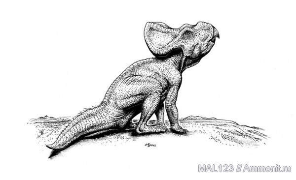 динозавры, Монголия, цератопсы, протоцератопсы, Protoceratops