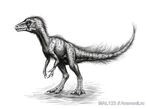 динозавры, Германия, оперение, Sciurumimus albersdoerferi, Sciurumimus