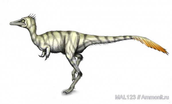 динозавры, Монголия, Shuvuuia deserti, альваресзавры