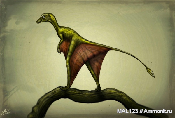 Sharovipteryx Mirabilis, Sharovipteryx, текодонты