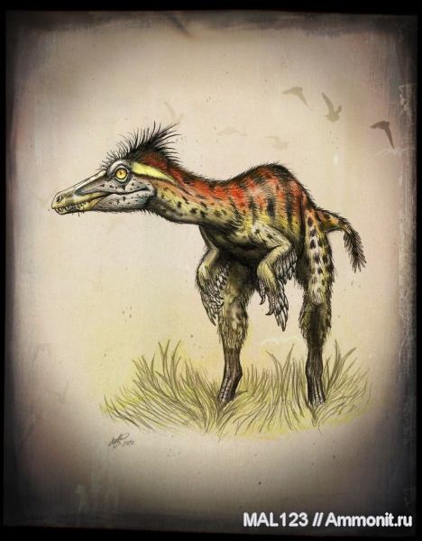 динозавры, мел, тероподы, реконструкция, троодон, Troodon, Troodon inequalis, Cretaceous