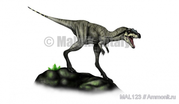 динозавры, Испания, тероподы, Camarillasaurus cirugedae, Camarillasaurus