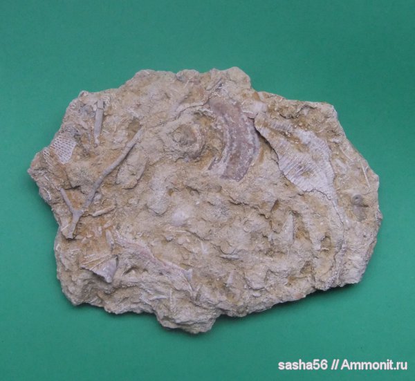 карбон, Гжель