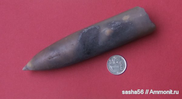 белемниты, юра, Воскресенск, Pachyteuthis, 9 карьер, Jurassic, belemnites