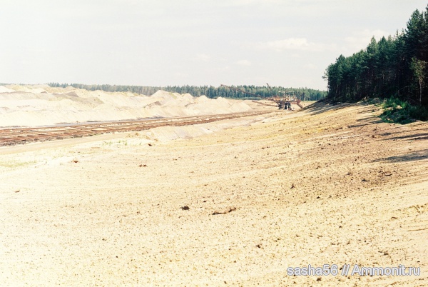 юра, Воскресенск, Елкино, места находок, Лопатинский рудник, 10 карьер, Jurassic