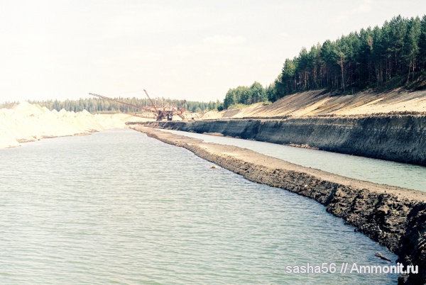 юра, Воскресенск, Елкино, места находок, Лопатинский рудник, 10 карьер, Jurassic