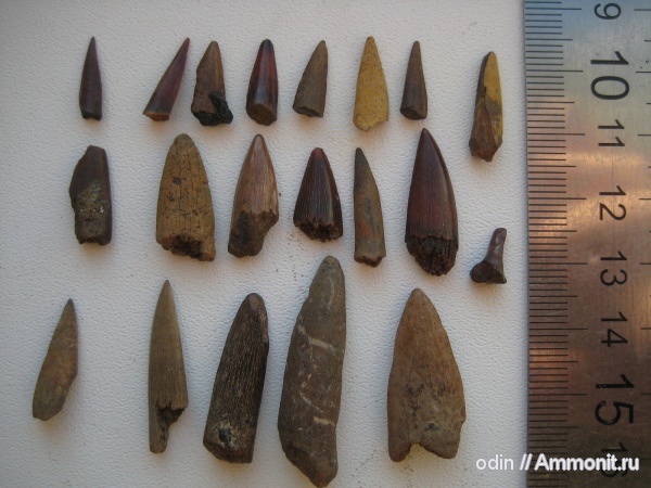 рыбы, сеноман