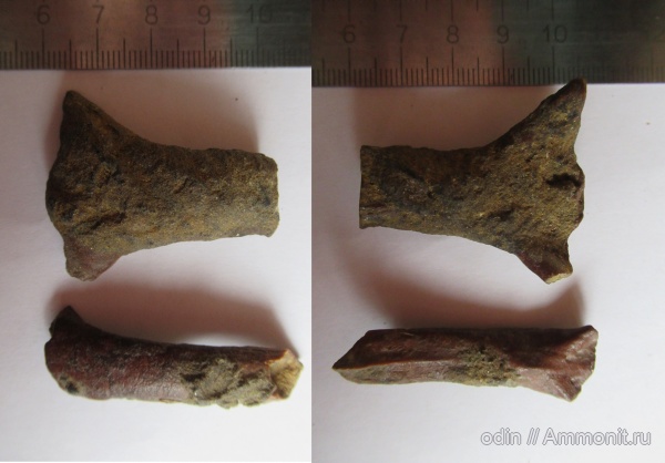 класпер химеры