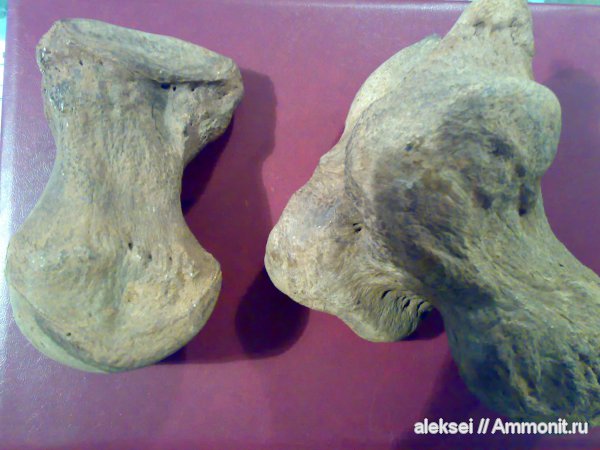 находки на берегу реки Кама