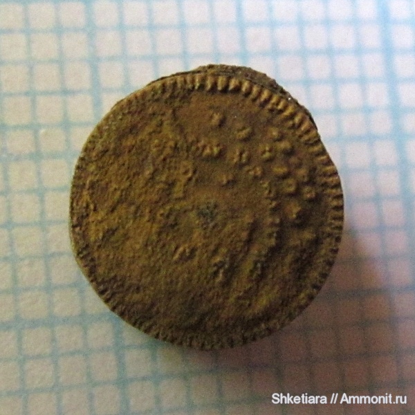 Цемгигант, оксфорд, Cyclocrinus, верхняя юра, оксфордский ярус, Oxfordian, Upper Jurassic