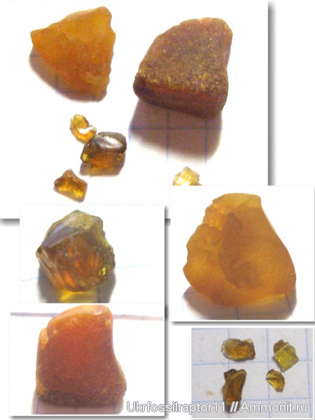 янтарь, смола, Киев