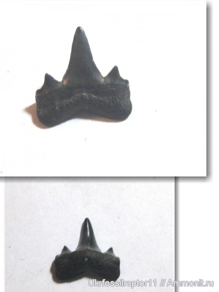 Киев, Isurolamna