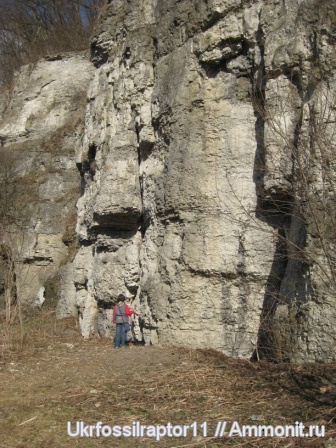 силур, Silurian, Смотрич