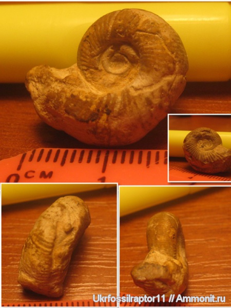 юра, Франция, ?, Jurassic