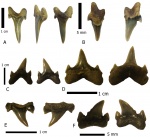 Archaeolamna Archaeolamna