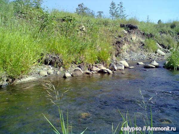 Ярославская область, р. Йода