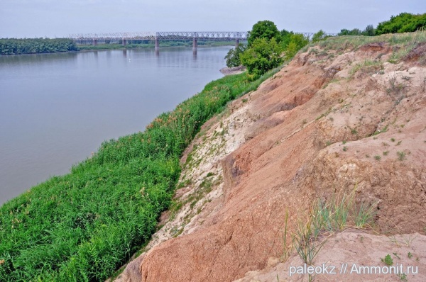 млекопитающие, плиоцен, гиппарионы, Гусиный перелет