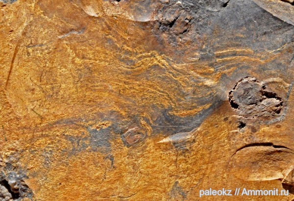 мел, секвойи, Cretaceous