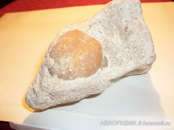 Мои находки