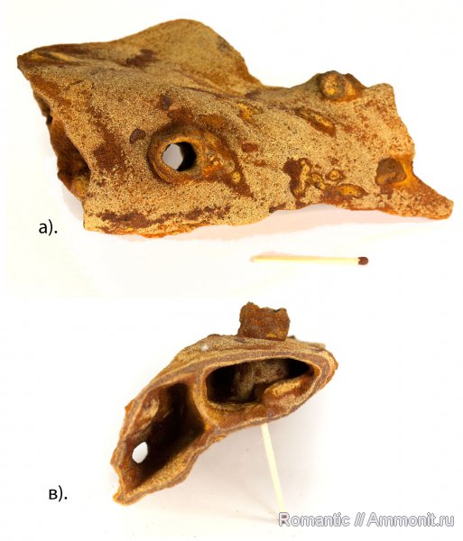 ризоконкреции, песчаник, кварцит