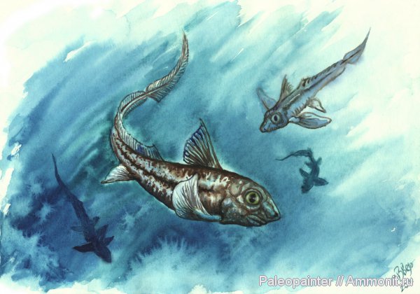 Lagarodus, реконструкция