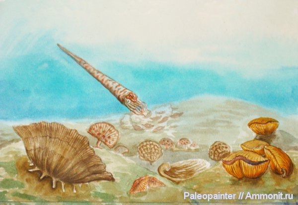 брахиоподы, реконструкция