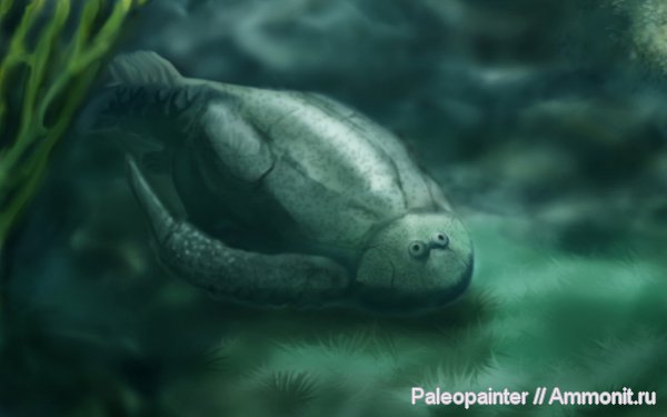 реконструкция, Bothriolepis