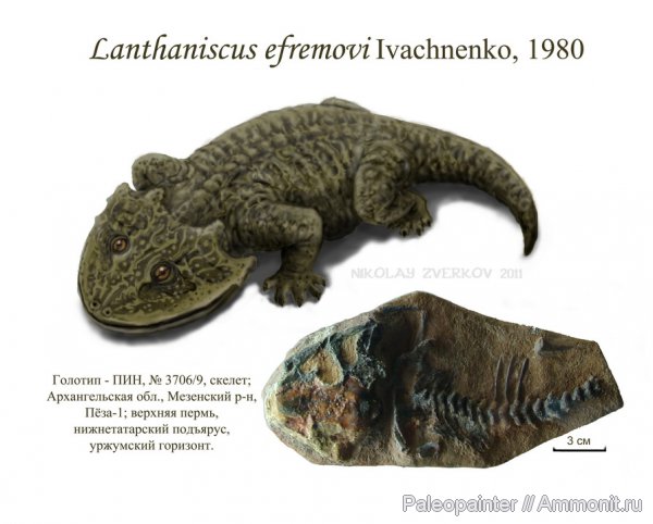 реконструкция, Lanthaniscus efremovi