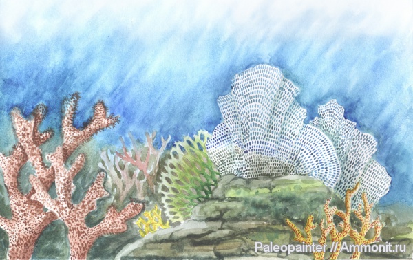 мшанки, реконструкция