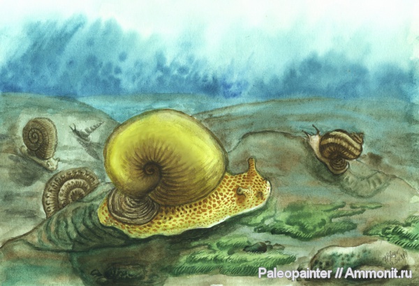 Bellerophon, реконструкция