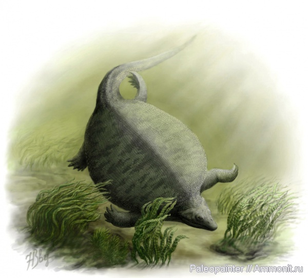 реконструкция, Sinosaurosphargis