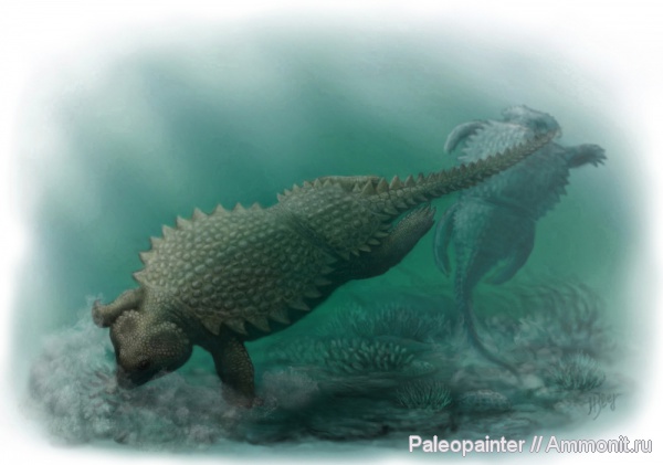 реконструкция, Cyamodus