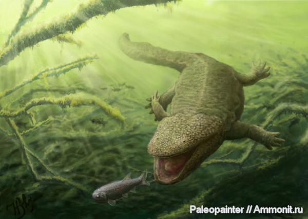 реконструкция, Koskinonodon