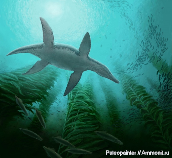 реконструкция, Pliosaurus