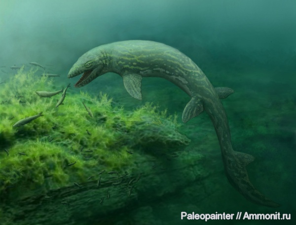 мозазавры, реконструкция, Prognathodon, Prognathodon lutugini